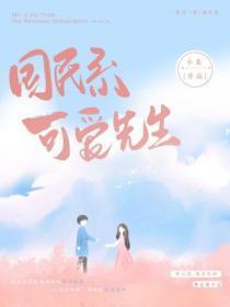 国民系可爱先生