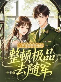 八零觉醒弹幕系统，整顿极品去随军