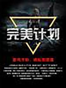 完美计划
