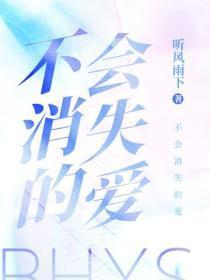 不会消失的爱
