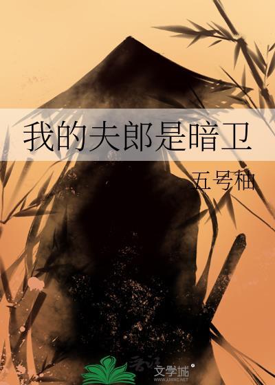 我的夫郎是暗卫