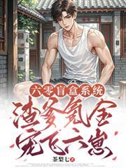 六零盲盒系统：渣爹氪金宠飞六崽