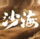 沙海4（沙海腔隙）