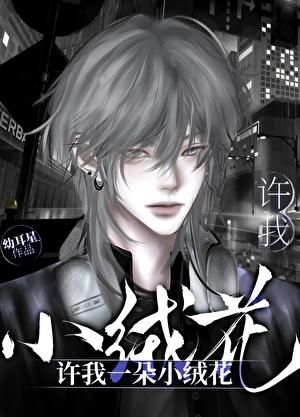 许我一朵小绒花