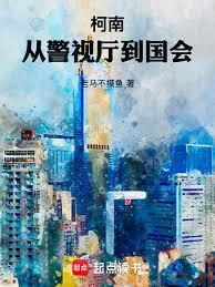 柯南：从警视厅到国会