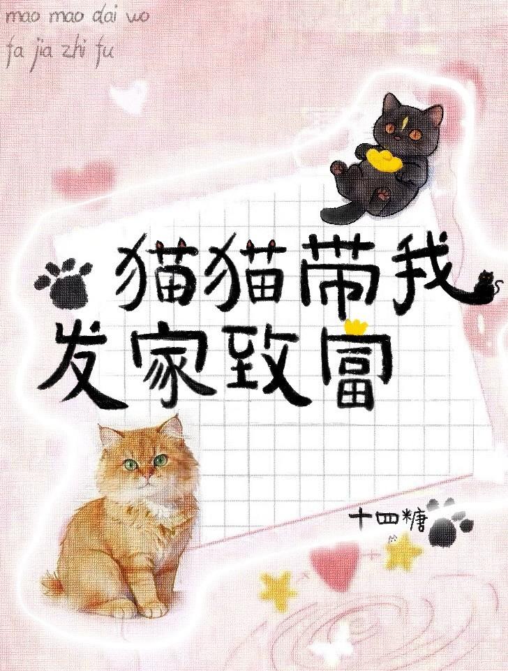 猫猫带我发家致富