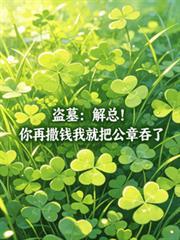 盗墓：解总！你再撒钱我就把公章