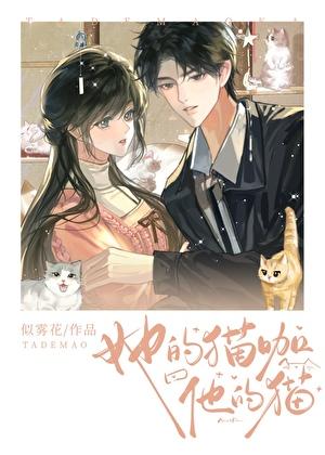 她的猫咖，他的猫