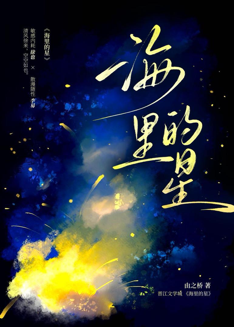 海里的星