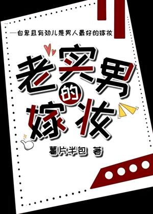 老实男的嫁妆