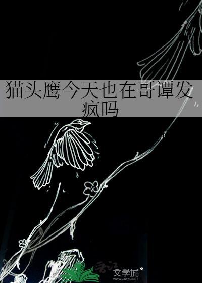 猫头鹰今天也在哥谭发疯吗