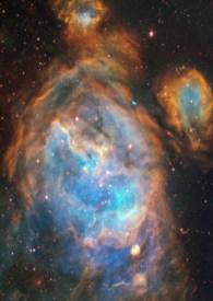 白桃乌龙梅子酒