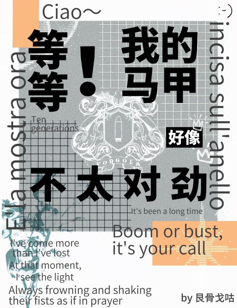 纲吉：等等，我的马甲好像有点不太对劲