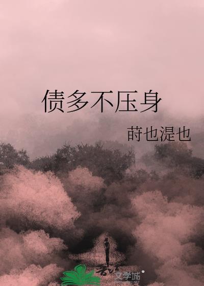 债多不压身
