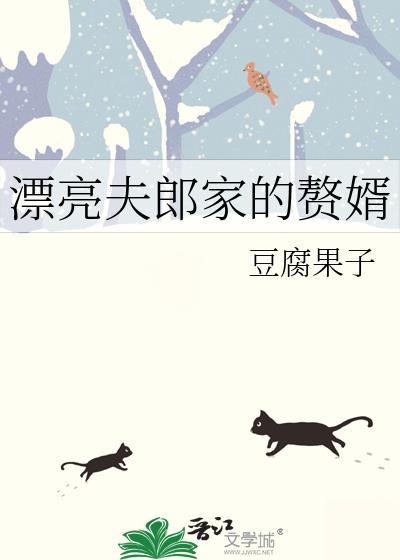 漂亮夫郎家的赘婿