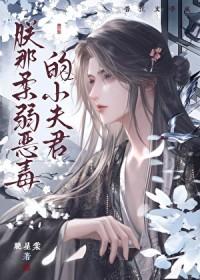 朕那柔弱恶毒的小夫君
