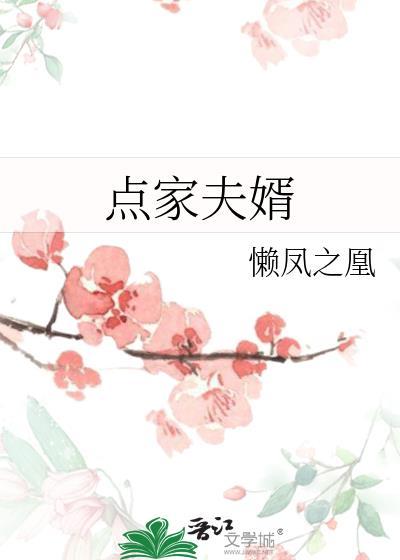 点家夫婿