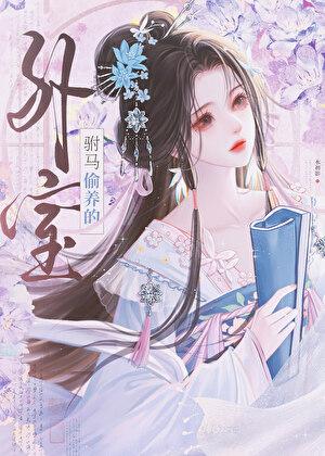 驸马偷养的外室