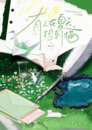 有人在夏天捡到猫