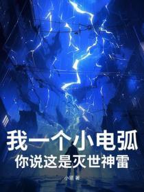 我一个小电弧，你说这是灭世神雷？