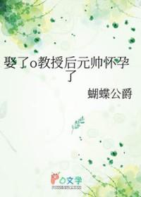 娶了o教授后元帅怀孕了