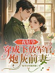 一夜好孕：穿成下放军官炮灰前妻