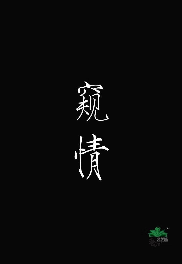 窥情