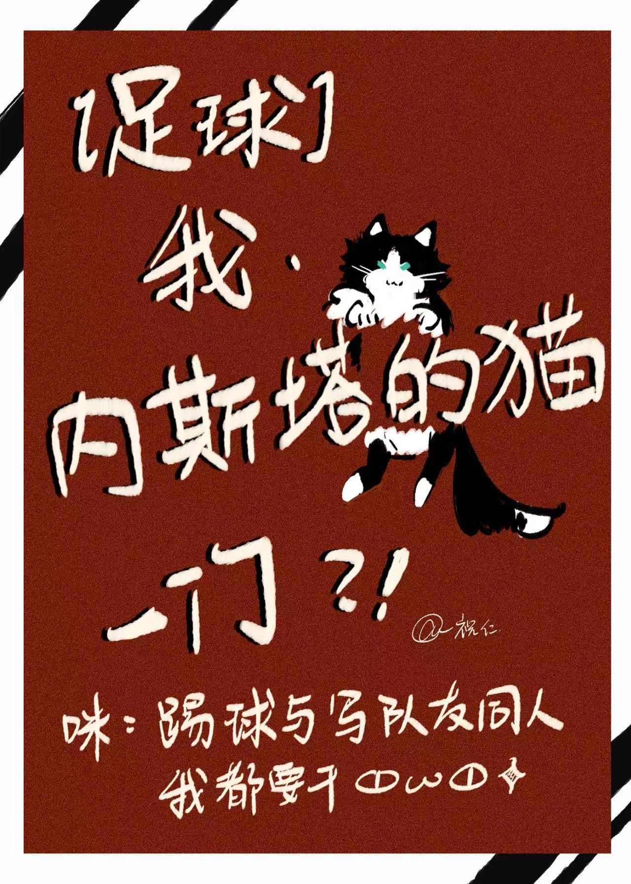 [足球]我，内斯塔的猫，一门