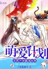 萌爱计划：首席少爷猎宠法则