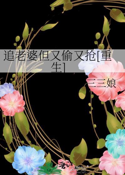追老婆但又偷又抢[重生]