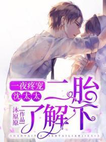 一夜疼宠：沈太太，二胎了解下