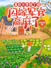 重回六零抢个婚，闪嫁军官贏麻了