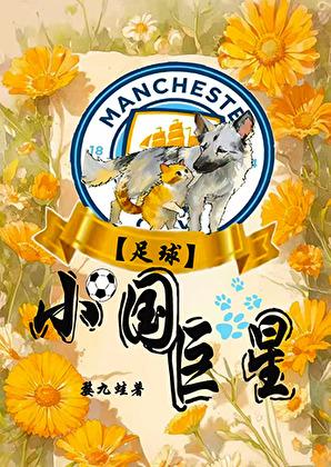 [足球]小国巨星