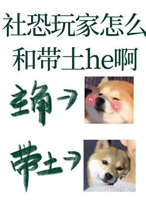 社恐玩家怎么和带土he啊