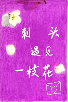 刺头遇上一枝花
